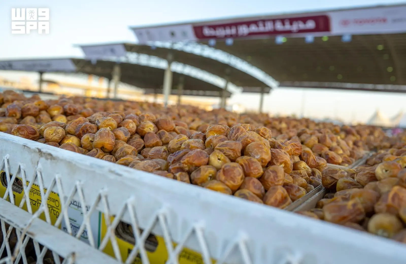 خبر وكالة الأنباء السعودية (واس) - كرنفال بريدة الدولي للتمور